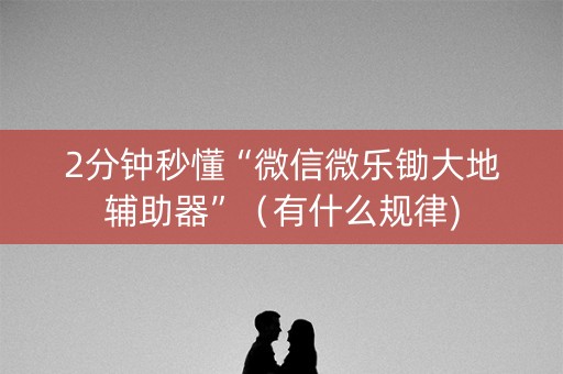2分钟秒懂“微信微乐锄大地辅助器”（有什么规律)