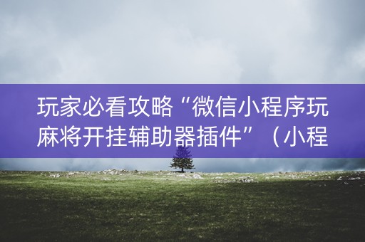 玩家必看攻略“微信小程序玩麻将开挂辅助器插件”（小程序必赢神器)