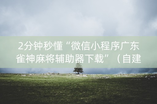 2分钟秒懂“微信小程序广东雀神麻将辅助器下载”（自建房胜负规律)
