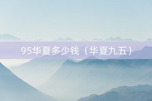 95华夏多少钱（华夏九五）