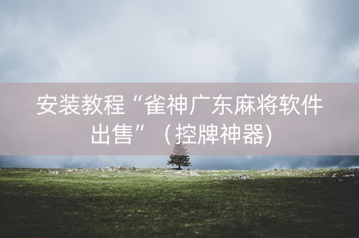 安装教程“雀神广东麻将软件出售”（控牌神器)