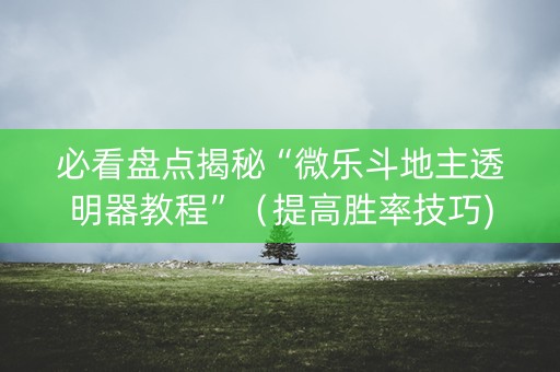 必看盘点揭秘“微乐斗地主透明器教程”（提高胜率技巧)