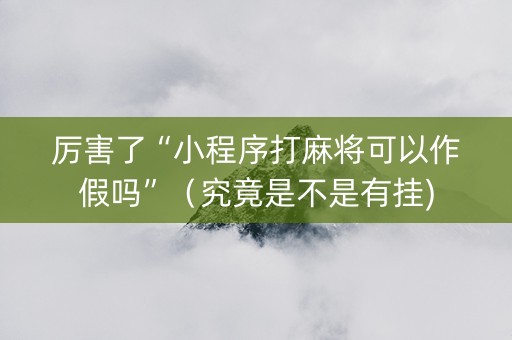 厉害了“小程序打麻将可以作假吗”（究竟是不是有挂)