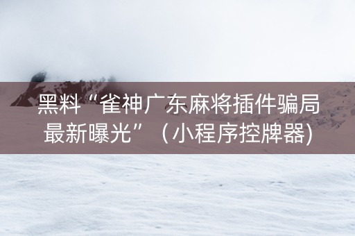 黑料“雀神广东麻将插件骗局最新曝光”（小程序控牌器)