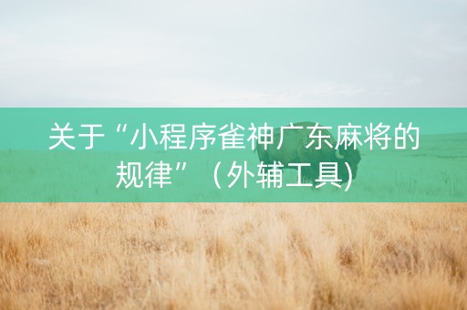 关于“小程序雀神广东麻将的规律”（外辅工具)