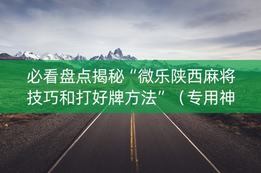 必看盘点揭秘“微乐陕西麻将技巧和打好牌方法”（专用神器)