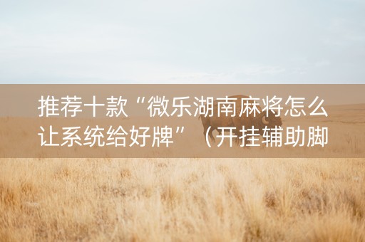 推荐十款“微乐湖南麻将怎么让系统给好牌”（开挂辅助脚本)