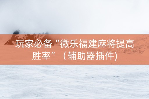 玩家必备“微乐福建麻将提高胜率”（辅助器插件)