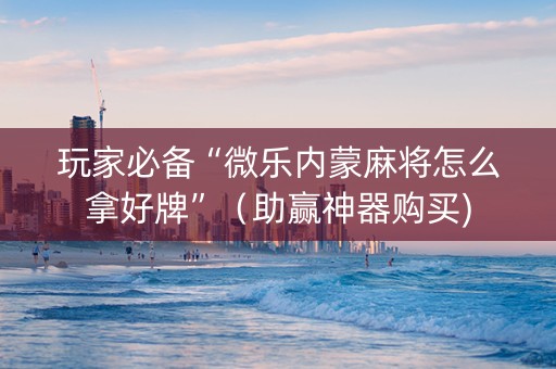 玩家必备“微乐内蒙麻将怎么拿好牌”（助赢神器购买)