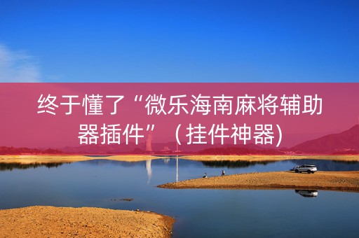 终于懂了“微乐海南麻将辅助器插件”（挂件神器)