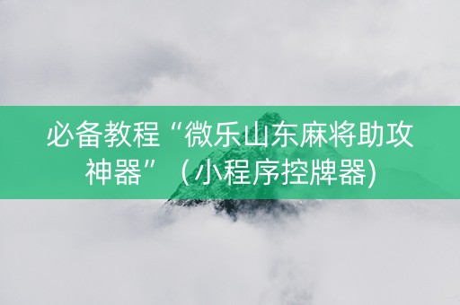 必备教程“微乐山东麻将助攻神器”（小程序控牌器)