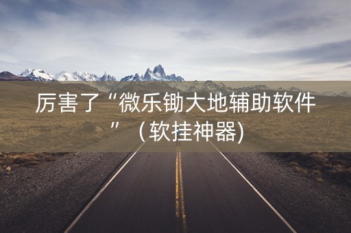 厉害了“微乐锄大地辅助软件”（软挂神器)