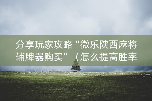 分享玩家攻略“微乐陕西麻将辅牌器购买”（怎么提高胜率)