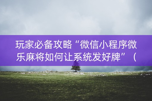 玩家必备攻略“微信小程序微乐麻将如何让系统发好牌”（辅牌器插件购买)
