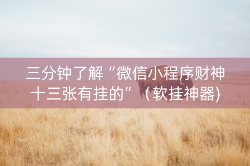 三分钟了解“微信小程序财神十三张有挂的”（软挂神器)