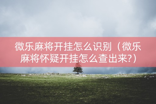 微乐麻将开挂怎么识别（微乐麻将怀疑开挂怎么查出来?）