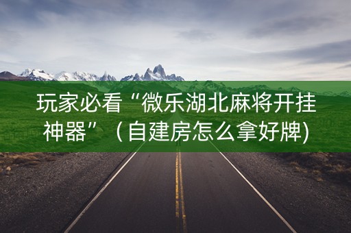 玩家必看“微乐湖北麻将开挂神器”（自建房怎么拿好牌)