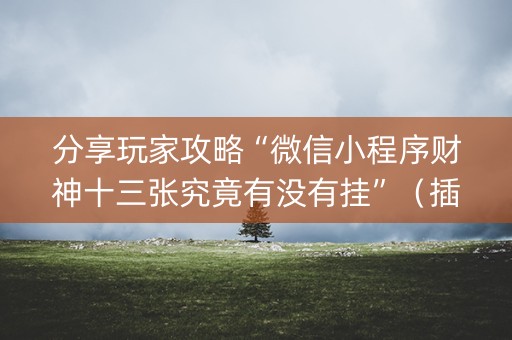 分享玩家攻略“微信小程序财神十三张究竟有没有挂”（插件开挂免费AI)