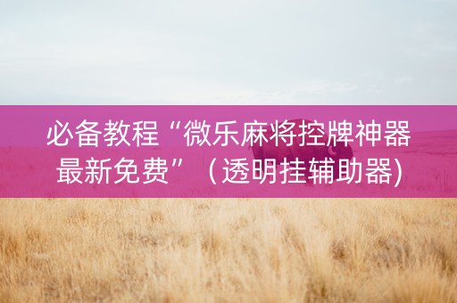 必备教程“微乐麻将控牌神器最新免费”（透明挂辅助器)
