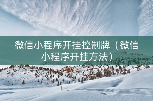 微信小程序开挂控制牌（微信小程序开挂方法）