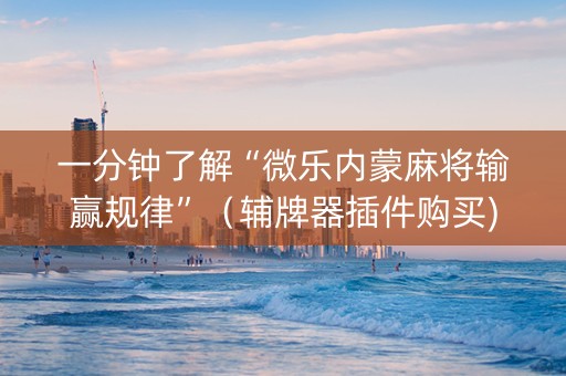 一分钟了解“微乐内蒙麻将输赢规律”（辅牌器插件购买)