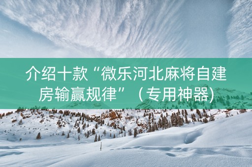 介绍十款“微乐河北麻将自建房输赢规律”（专用神器)