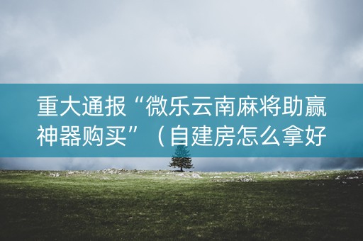 重大通报“微乐云南麻将助赢神器购买”（自建房怎么拿好牌)