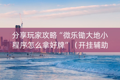 分享玩家攻略“微乐锄大地小程序怎么拿好牌”（开挂辅助插件)