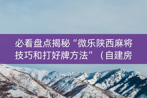 必看盘点揭秘“微乐陕西麻将技巧和打好牌方法”（自建房胜负规律)