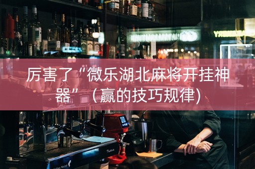 厉害了“微乐湖北麻将开挂神器”（赢的技巧规律)