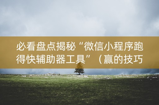 必看盘点揭秘“微信小程序跑得快辅助器工具”（赢的技巧规律)