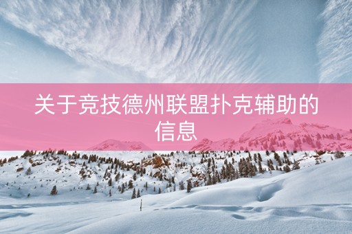 关于竞技德州联盟扑克辅助的信息
