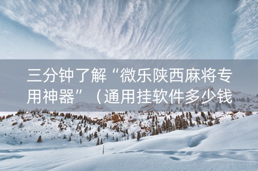 三分钟了解“微乐陕西麻将专用神器”（通用挂软件多少钱)