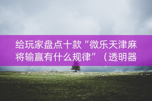 给玩家盘点十款“微乐天津麻将输赢有什么规律”（透明器教程)