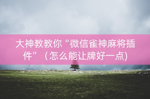 大神教教你“微信雀神麻将插件”（怎么能让牌好一点)