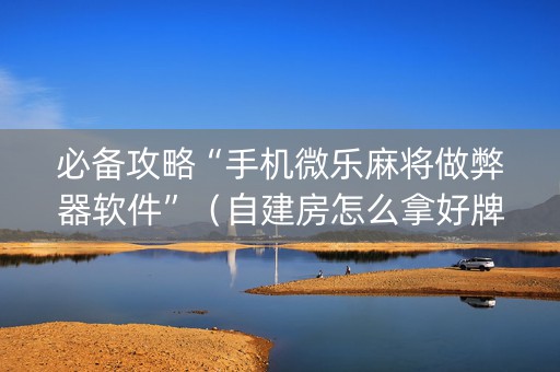 必备攻略“手机微乐麻将做弊器软件”（自建房怎么拿好牌)