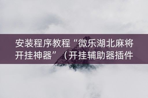 安装程序教程“微乐湖北麻将开挂神器”（开挂辅助器插件)