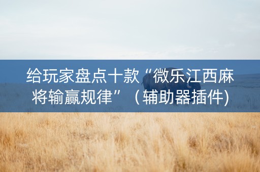 给玩家盘点十款“微乐江西麻将输赢规律”（辅助器插件)