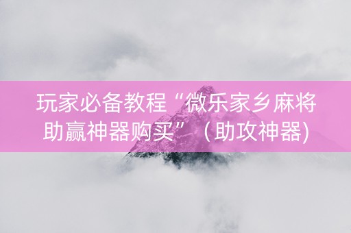 玩家必备教程“微乐家乡麻将助赢神器购买”（助攻神器)