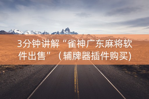 3分钟讲解“雀神广东麻将软件出售”（辅牌器插件购买)