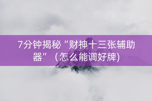 7分钟揭秘“财神十三张辅助器”（怎么能调好牌)
