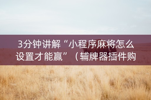 3分钟讲解“小程序麻将怎么设置才能赢”（辅牌器插件购买)