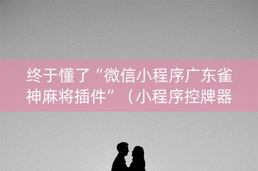 终于懂了“微信小程序广东雀神麻将插件”（小程序控牌器)