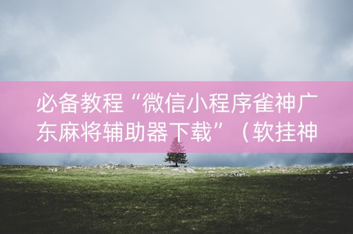 必备教程“微信小程序雀神广东麻将辅助器下载”（软挂神器)