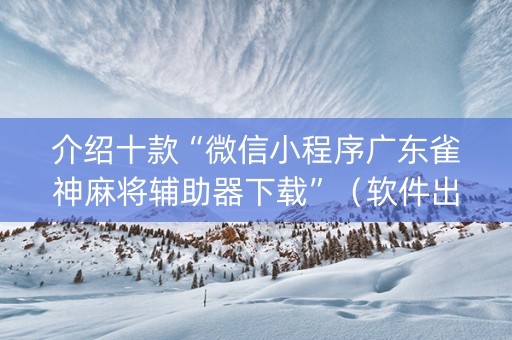 介绍十款“微信小程序广东雀神麻将辅助器下载”（软件出售)