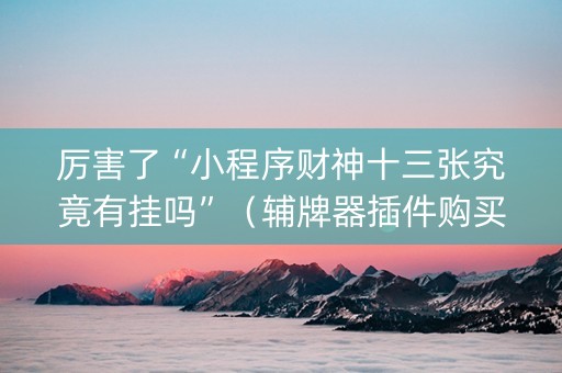 厉害了“小程序财神十三张究竟有挂吗”（辅牌器插件购买)