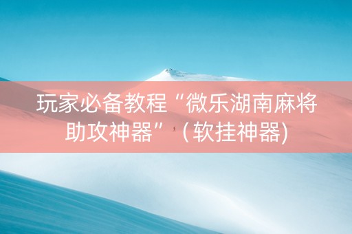 玩家必备教程“微乐湖南麻将助攻神器”（软挂神器)