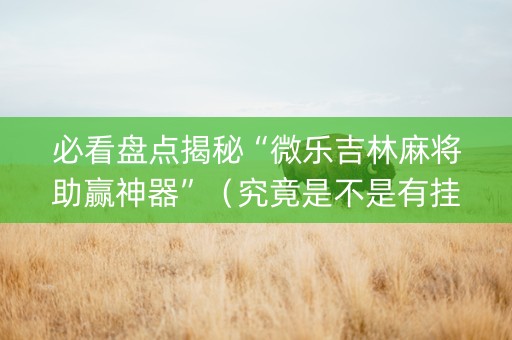 必看盘点揭秘“微乐吉林麻将助赢神器”（究竟是不是有挂)