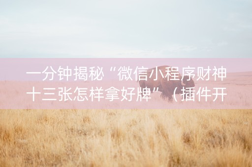一分钟揭秘“微信小程序财神十三张怎样拿好牌”（插件开挂免费AI)
