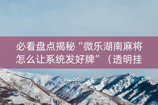 必看盘点揭秘“微乐湖南麻将怎么让系统发好牌”（透明挂辅助器)